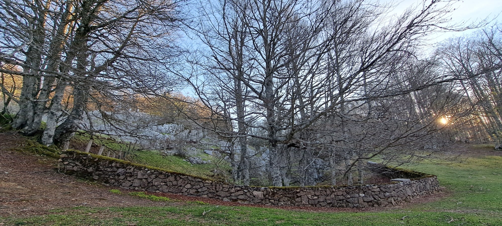 Errenaga, la discreta cima de la Sierra de Aralar
