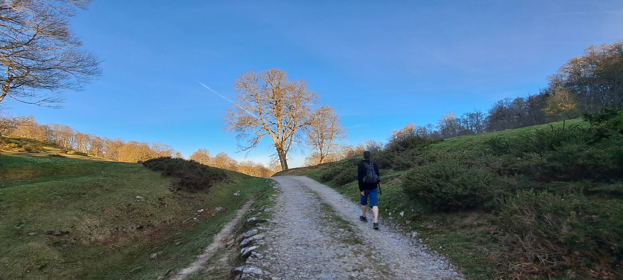 Errenaga, la discreta cima de la Sierra de Aralar