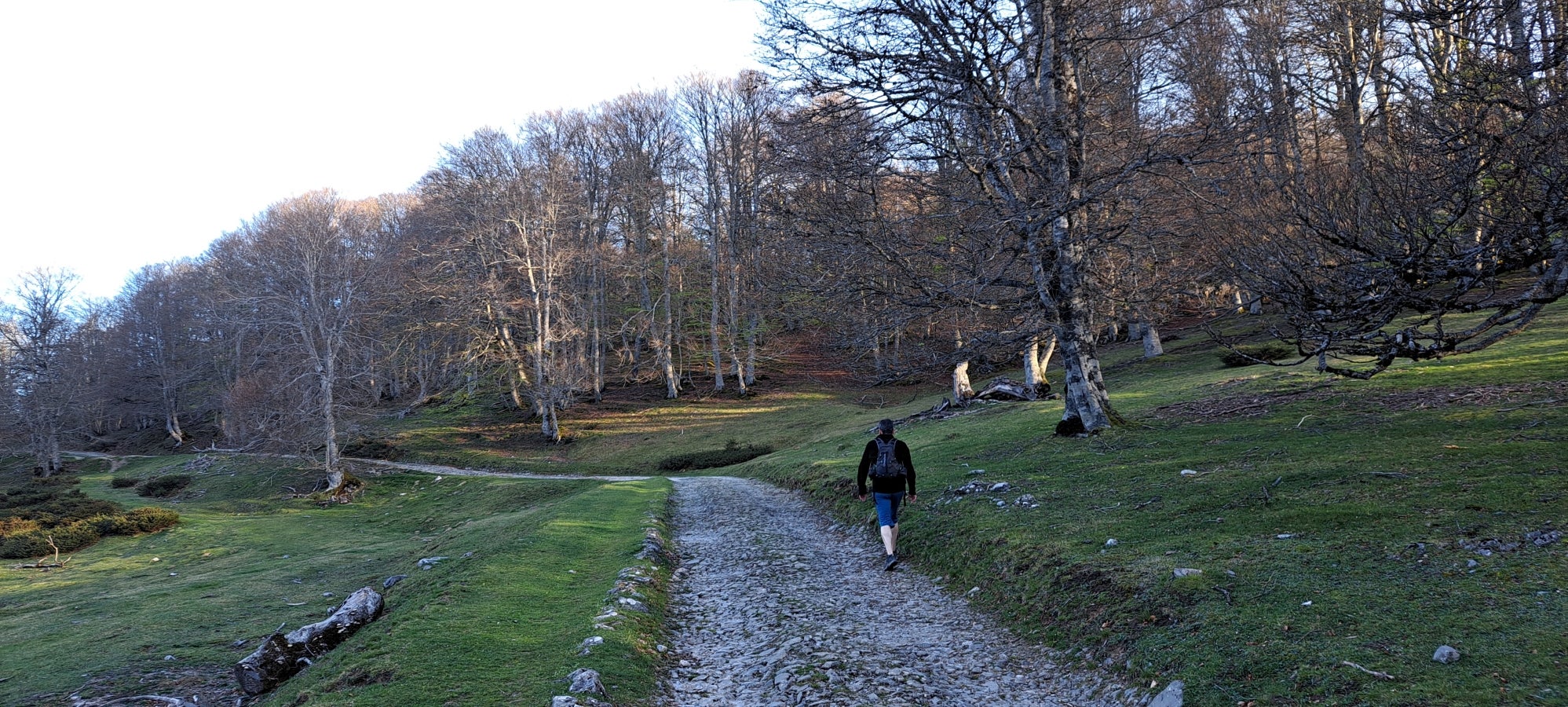 Errenaga, la discreta cima de la Sierra de Aralar