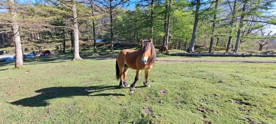 Erlaitz, una cima con muchos secretos