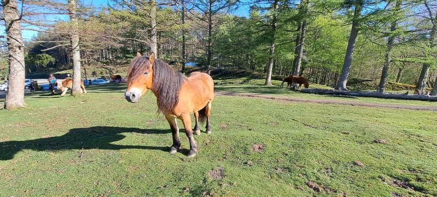 Erlaitz, una cima con muchos secretos