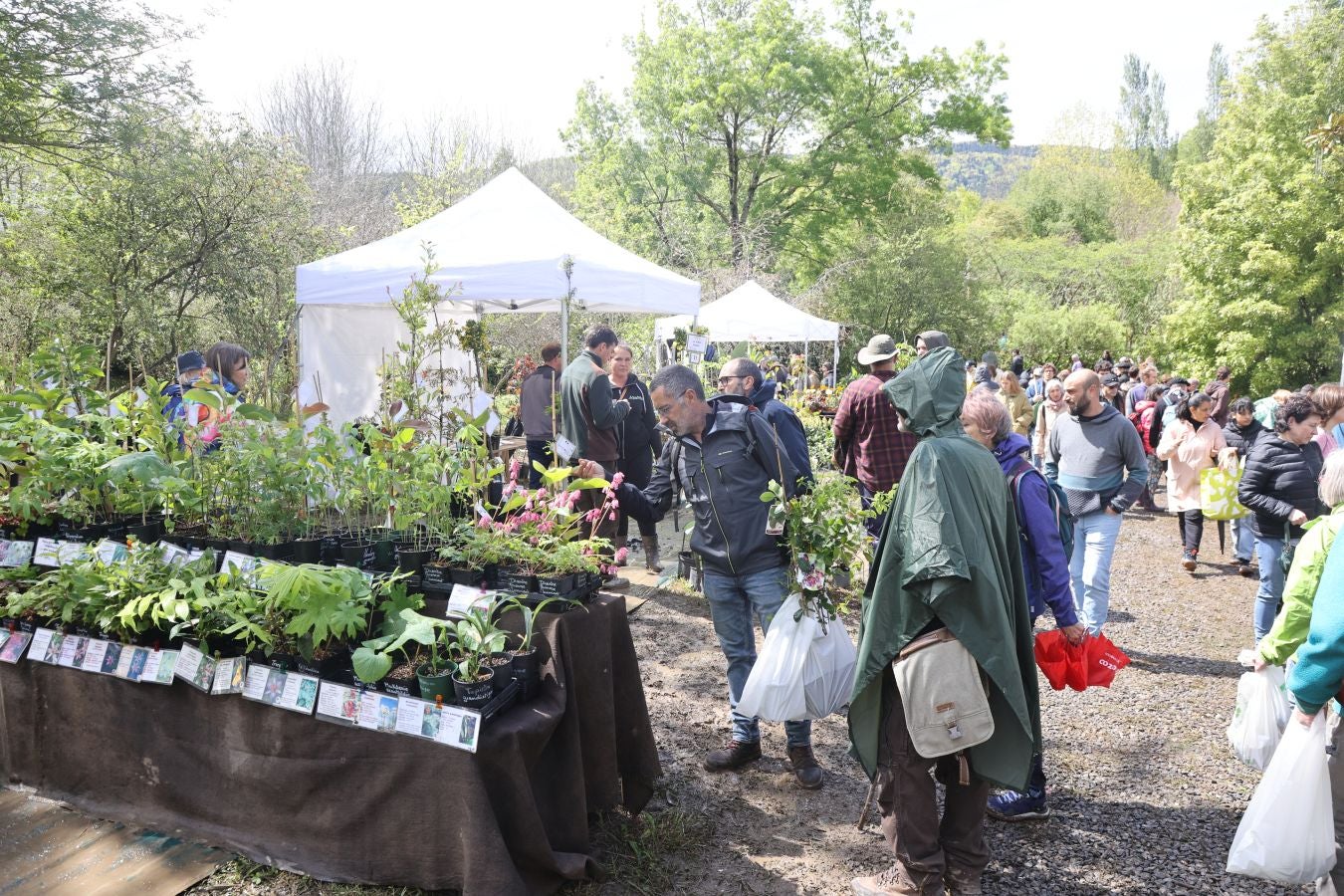 Miles de personas visitan la Feria de Plantas de Iturraran