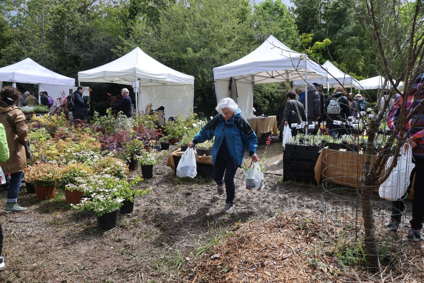 Miles de personas visitan la Feria de Plantas de Iturraran