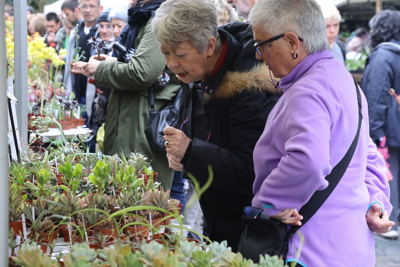 Miles de personas visitan la Feria de Plantas de Iturraran