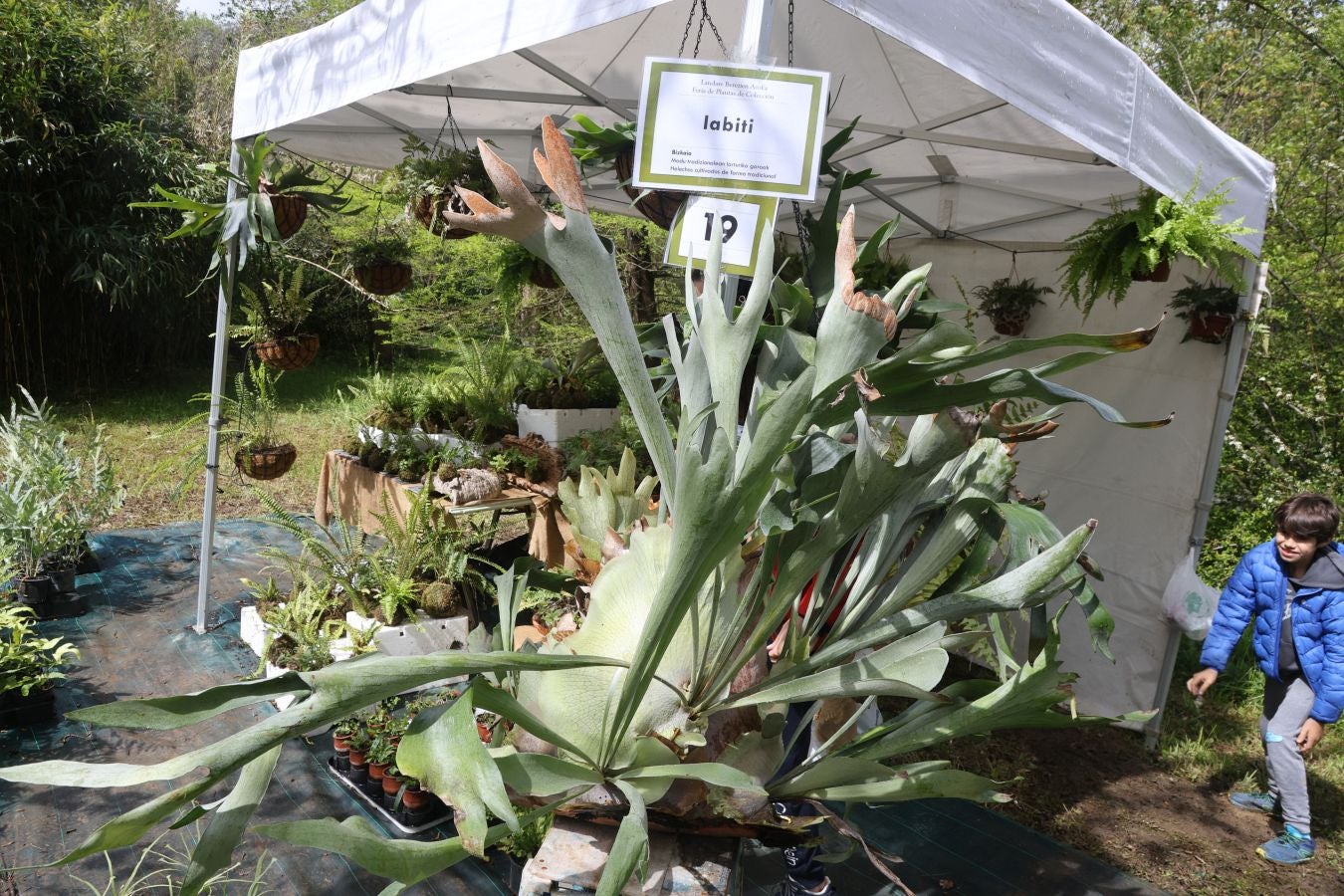 Miles de personas visitan la Feria de Plantas de Iturraran