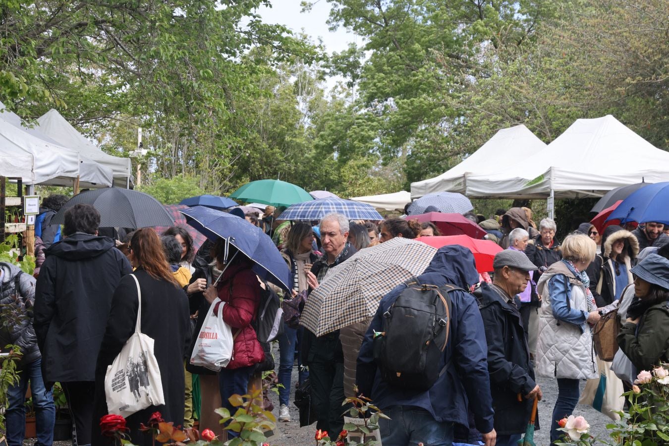 Miles de personas visitan la Feria de Plantas de Iturraran