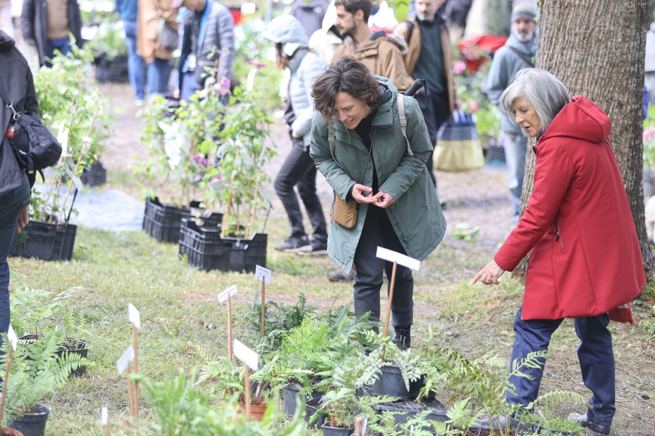 Miles de personas visitan la Feria de Plantas de Iturraran