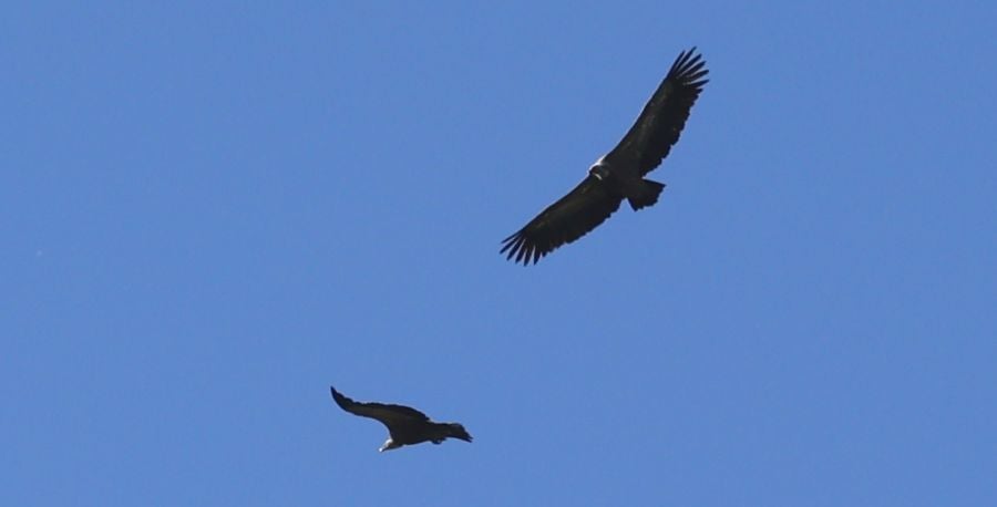Domingo de romería y buen tiempo