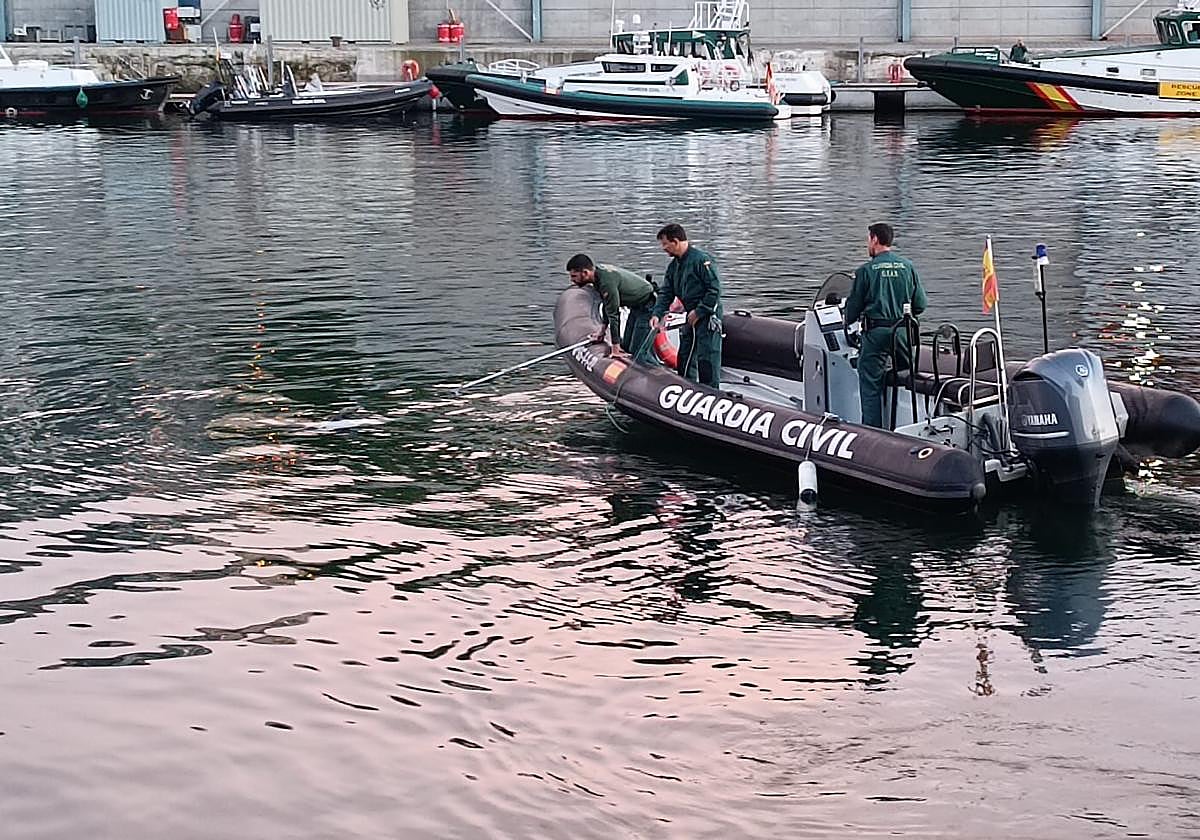 Agentes de la Guardia Civil recuperan en Pasaia el cadáver del deffín.