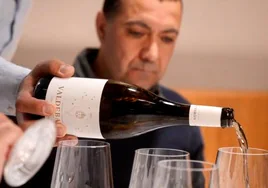 Valdebarón Blanco 2023: un vino que destaca por su versatilidad
