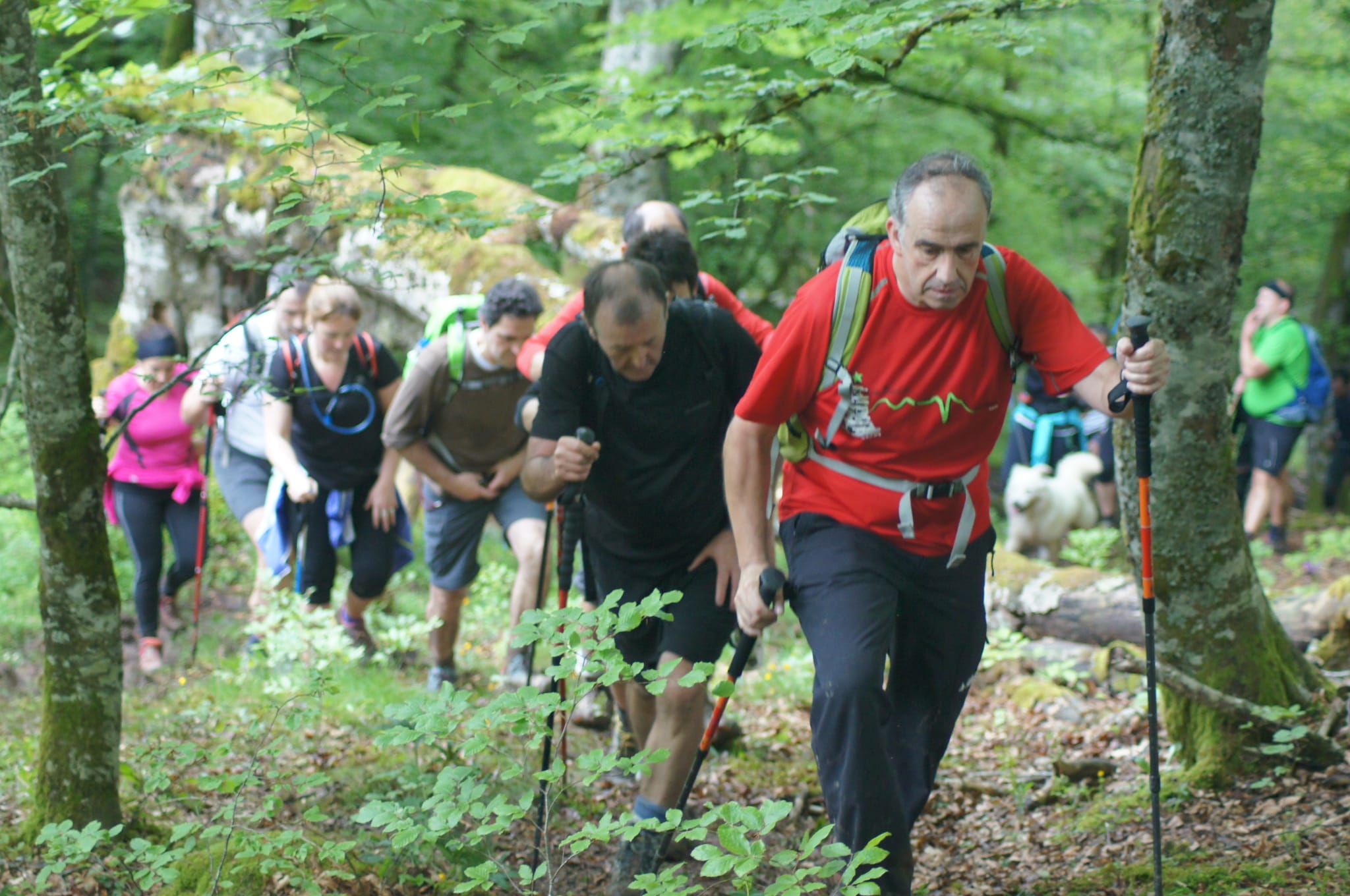 Comienza la cuenta atrás para la marcha regulada XIV Orduak
