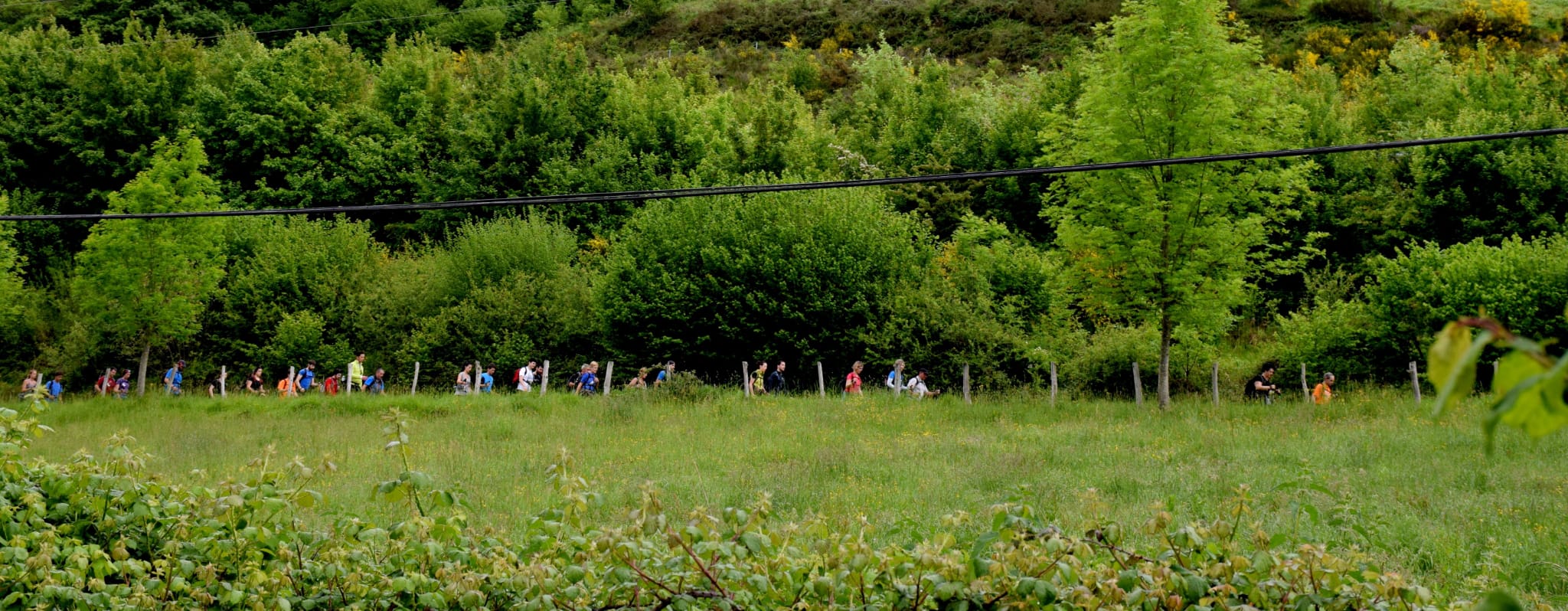 Comienza la cuenta atrás para la marcha regulada XIV Orduak