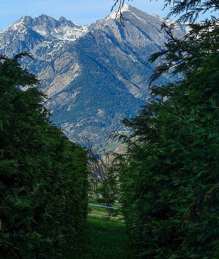 Imagen secundaria 2 - 1.-El laberinto está a los pies de Peña Telera | 2.- La instalación está a 1.280 metros de altitud | 3.- Los cipreses tienen una altura de 2,5 metros de altura.i