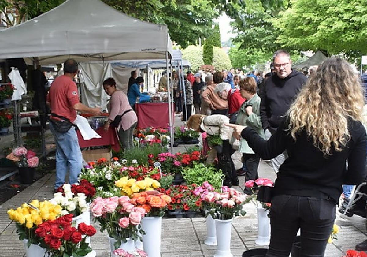 Una Alameda llena de flores