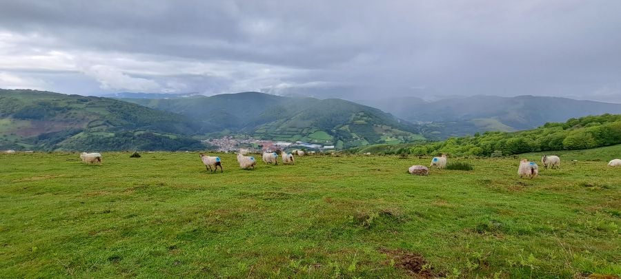 Baztarla: la melodía del monte sobre Leitza