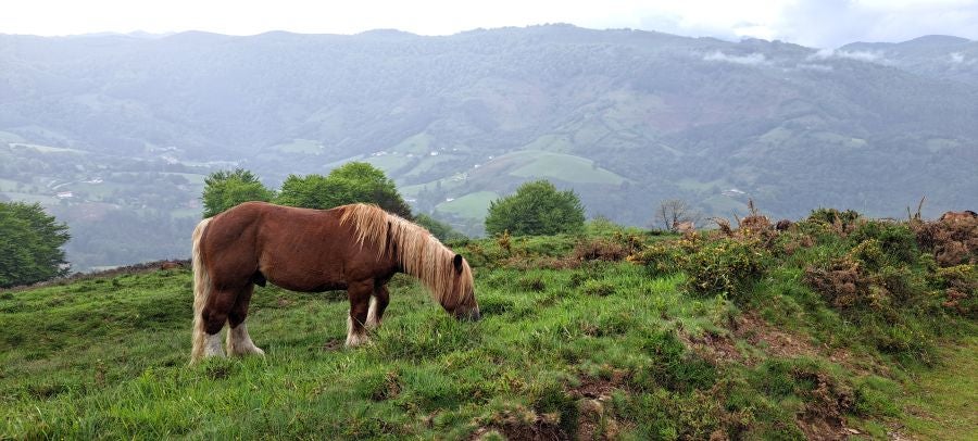 Baztarla: la melodía del monte sobre Leitza