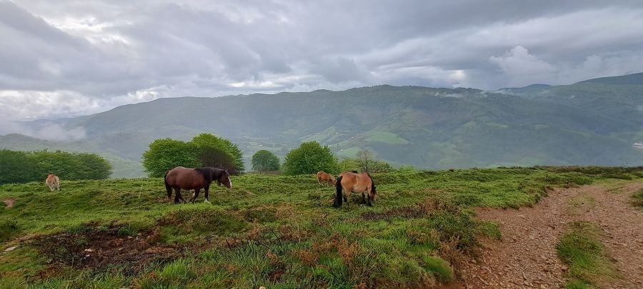 Baztarla: la melodía del monte sobre Leitza