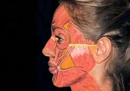 ¿Buscas un cirujano maxilofacial en Donostia?