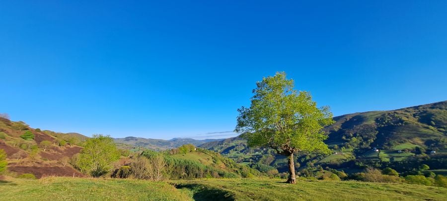 Ireber, muy popular entre los senderistas