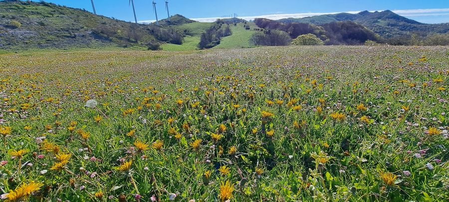 Ireber, muy popular entre los senderistas