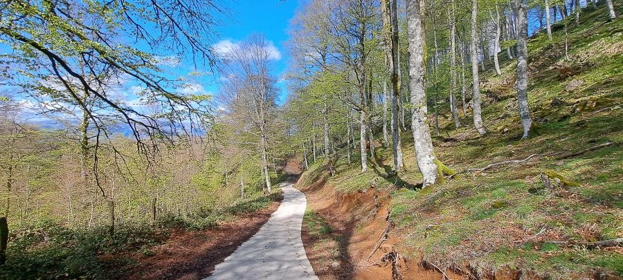 Ireber, muy popular entre los senderistas