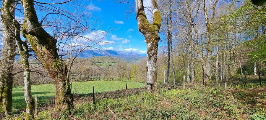 Ireber, muy popular entre los senderistas