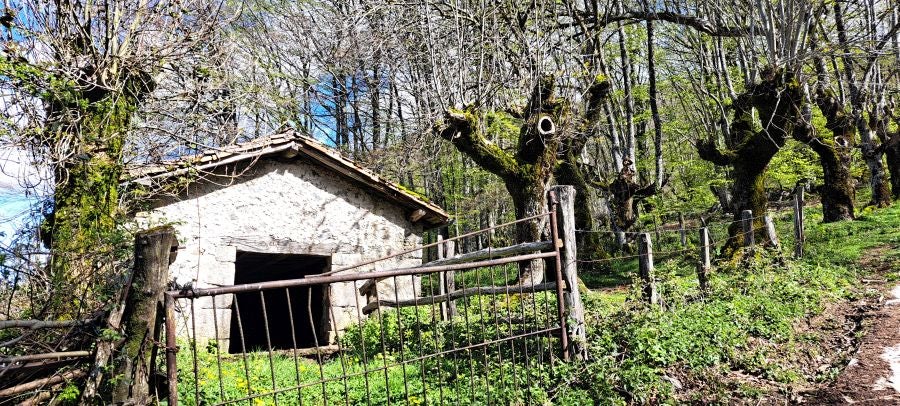 Ireber, muy popular entre los senderistas