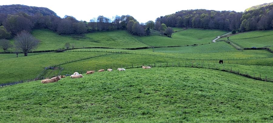 Ireber, muy popular entre los senderistas