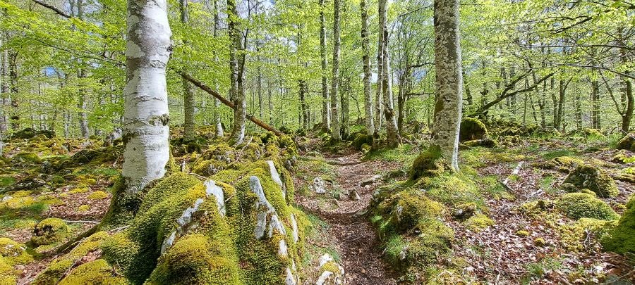 Ireber, muy popular entre los senderistas