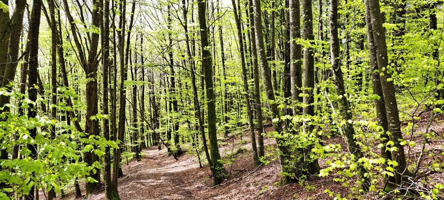 Ireber, muy popular entre los senderistas