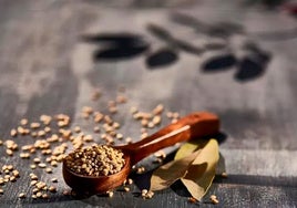 Freekeh: beneficios y propiedades de este superalimento