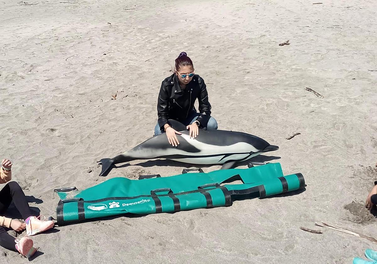 Una instructora, con la maqueta de un delfín de tamaño natural que también estará hoy en Getaria
