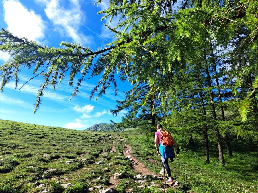 La belleza natural del Hernio