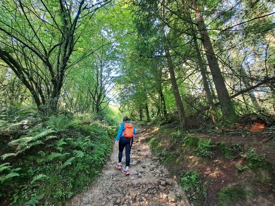 La belleza natural del Hernio
