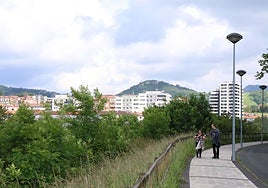 La nueva hípica se ubicaría en los terrenos adyacentes al paseo Uribitarte de Zubieta, junto al río Oria, próximo al hipódromo y muy cerca del núcleo urbano de Lasarte-Oria.