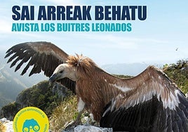 Sai arreak behatzeko aukera, igandean Arantzazun