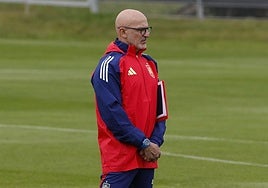 El seleccionador de la selección española, Luis de la Fuente.