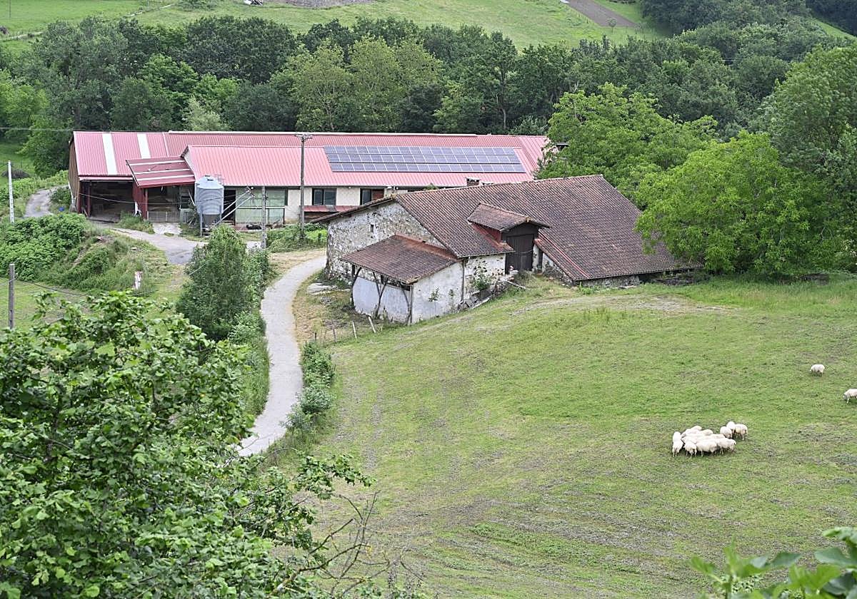Caserío de Zerain donde reside el matrimonio detenido, junto al pabellón en el que guardan a las ovejas.