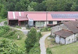 Caserio de Zerain donde reside el matrimonio acusado de explotación laboral.