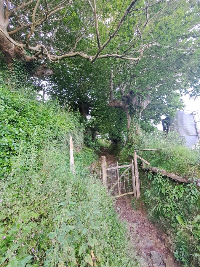 Oindo, un enclave mágico