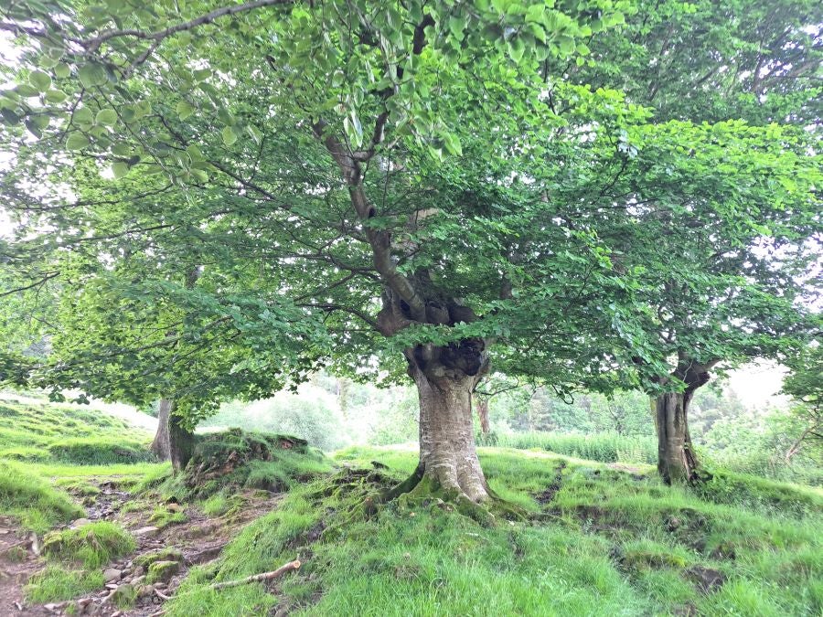 Oindo, un enclave mágico