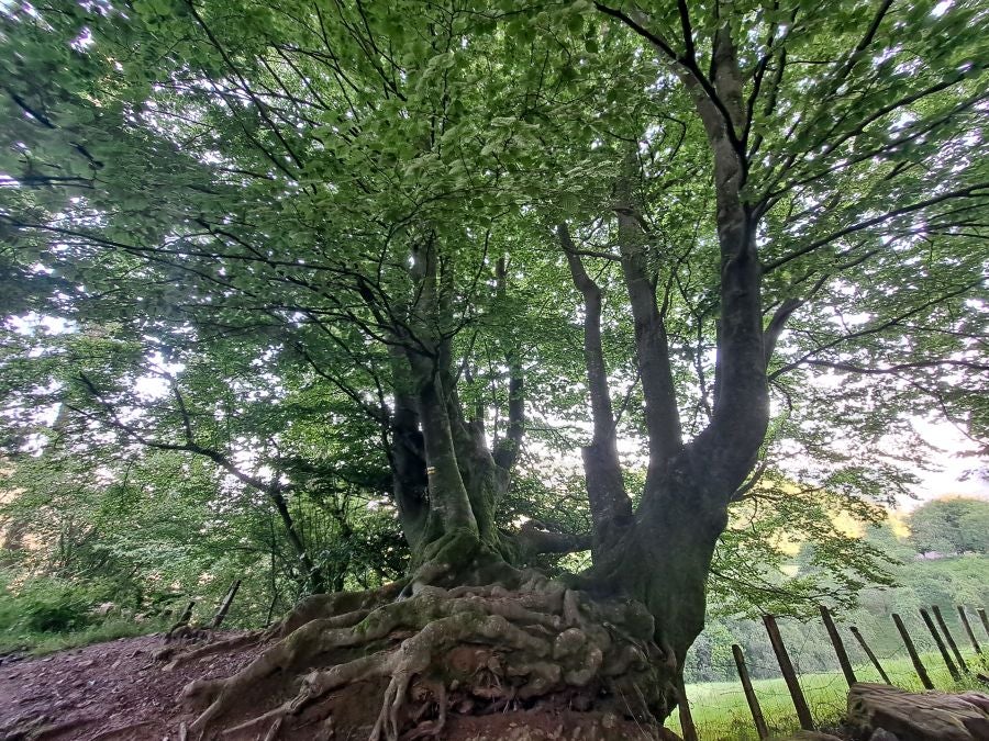 Oindo, un enclave mágico