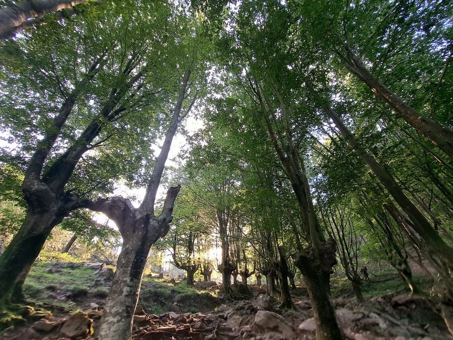 Oindo, un enclave mágico