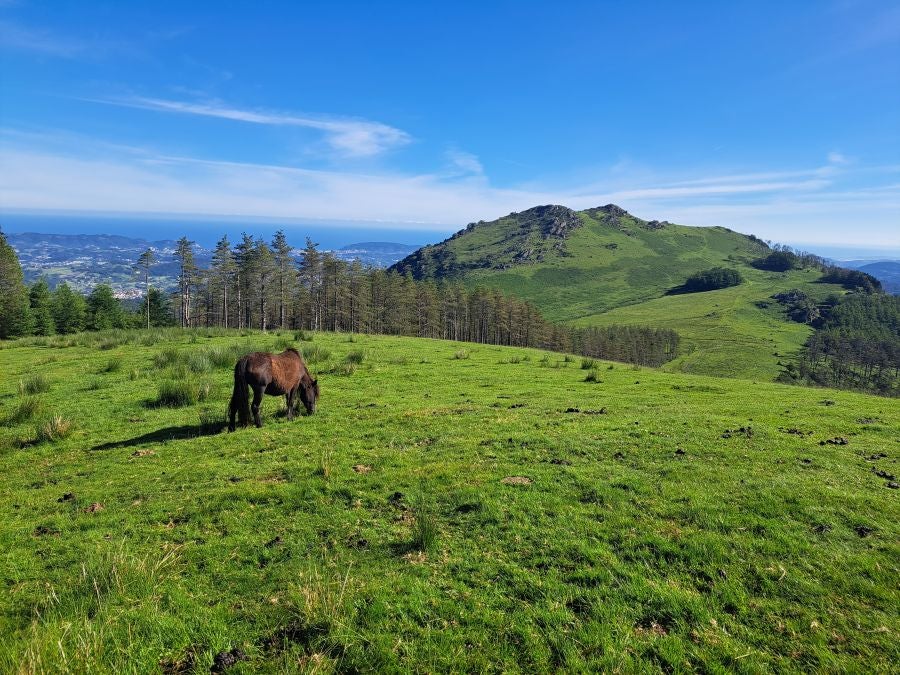 Oindo, un enclave mágico