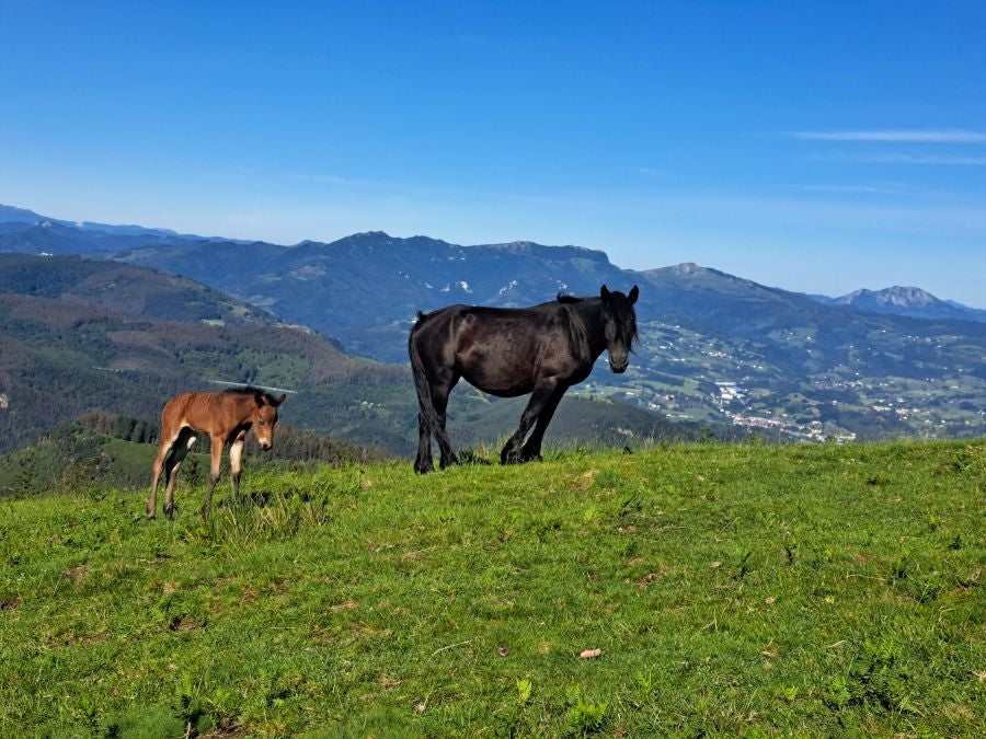 Oindo, un enclave mágico