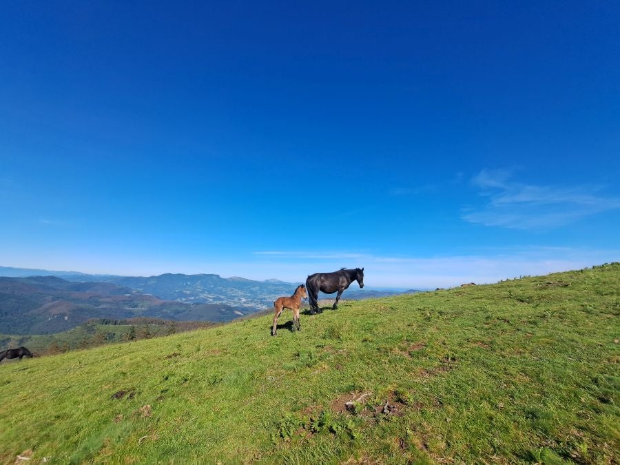 Oindo, un enclave mágico