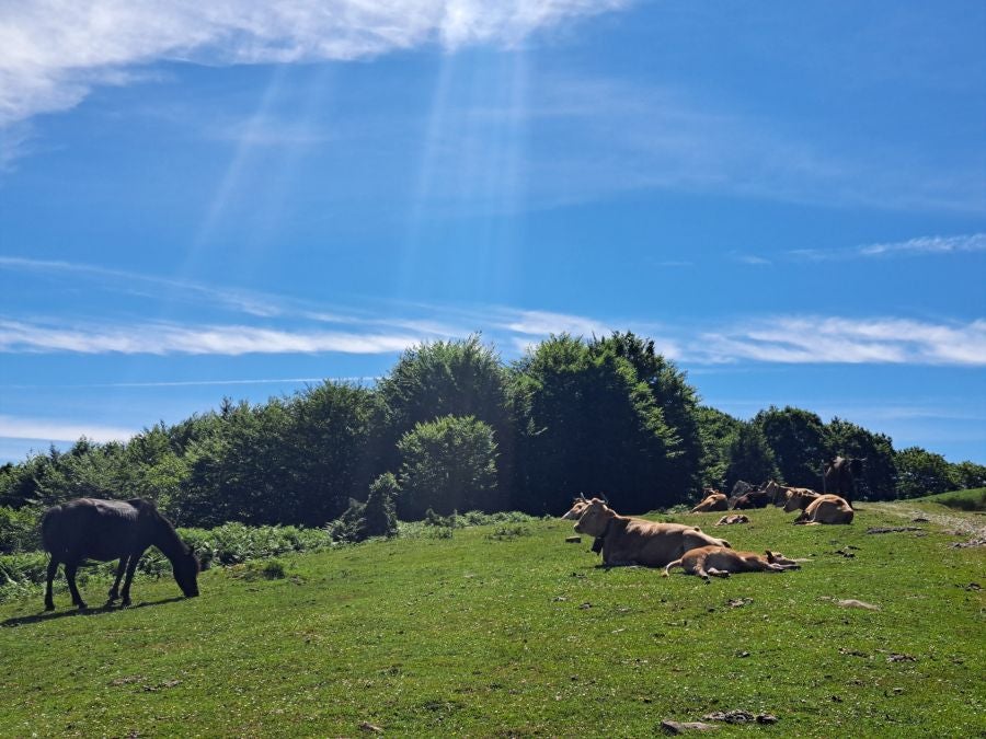 Oindo, un enclave mágico