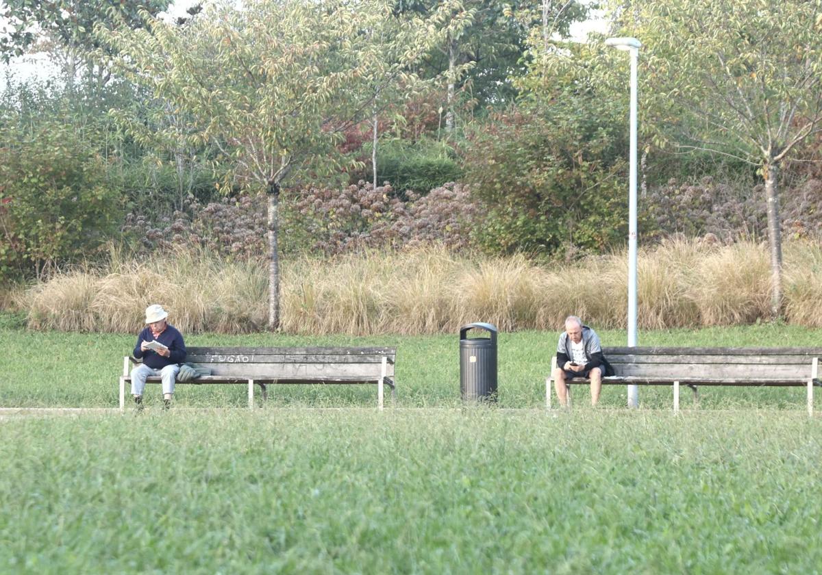 Un hombre lee sentado en un banco en un parque.