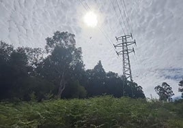 Los hechos se han producido en la calle Gatzarriñe.