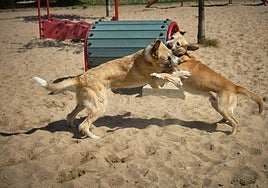 El Ayuntamiento descarta trasladar el parque Guau pero reforzará la vigilancia